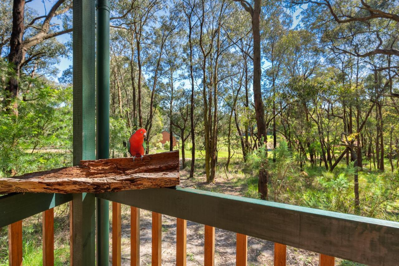 Cockatoo Cottages Zewnętrze zdjęcie